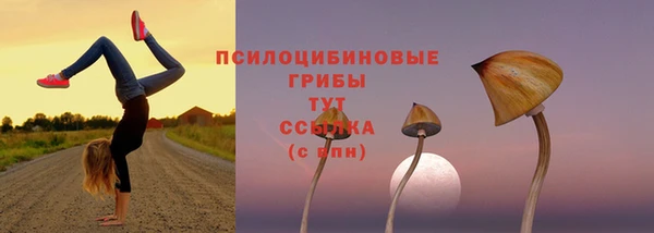 PSILOCYBIN Ростов