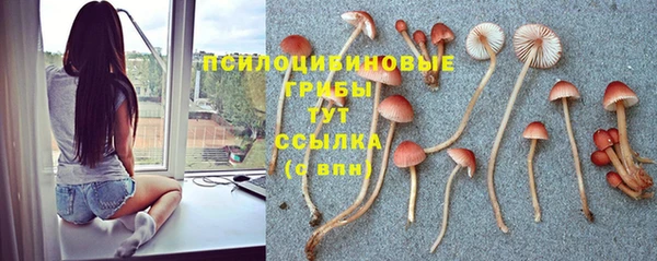 индика Рославль