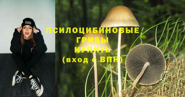 кокс Абаза