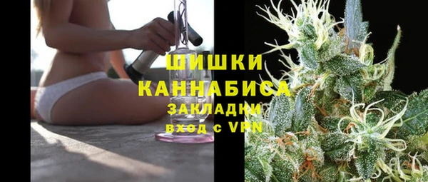 индика Рославль