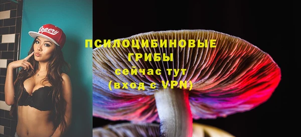 PSILOCYBIN Россошь