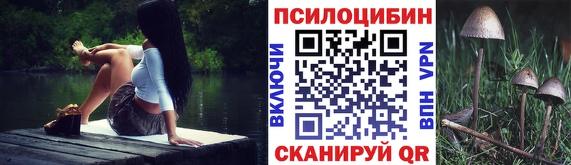 купить наркотик  Карпинск  Псилоцибиновые грибы Magic Shrooms 