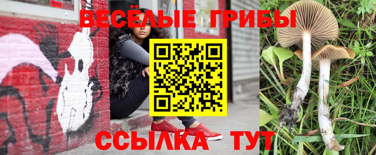 Галлюциногенные грибы Magic Shrooms Карпинск