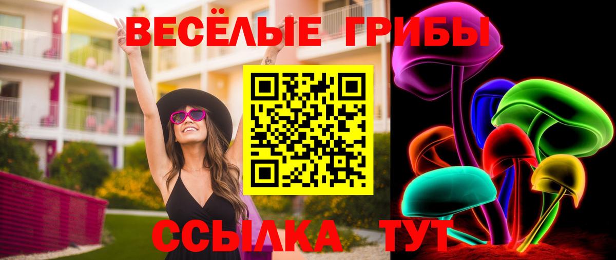 Карпинск  Галлюциногенные грибы Cubensis  Вход с VPN 